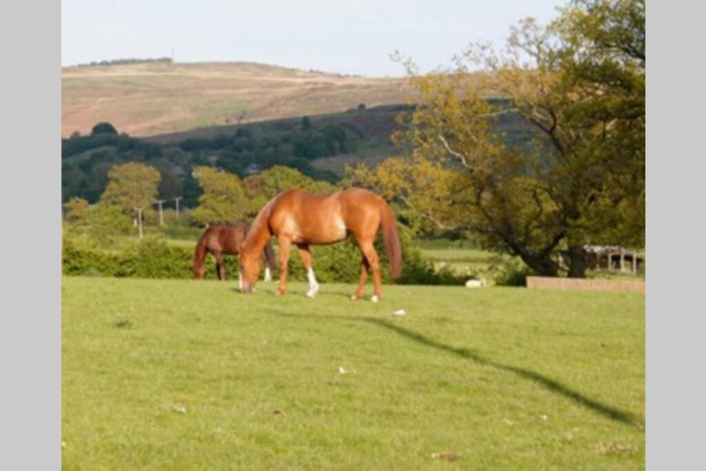 Upper Heath Farm - Stable Cottage Ludlow Craven Arms Exteriör bild
